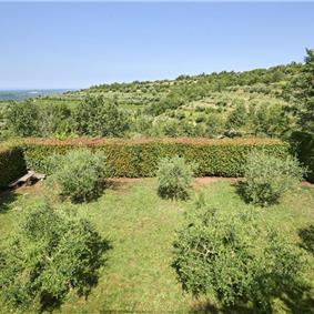 4 Bedroom Luxury Villa Retreat with Heated Infinity Pool near Buje, Sleeps 8-10